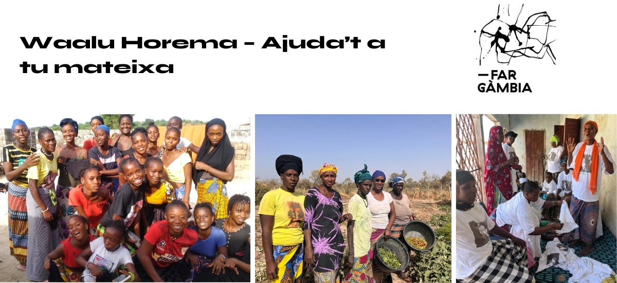 Ajuts Cooperació_Far Gambia