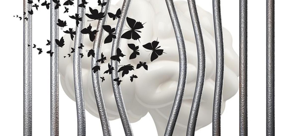 "Xarxa de salut mental; hospitalització i serveis d'àmbit comunitari"