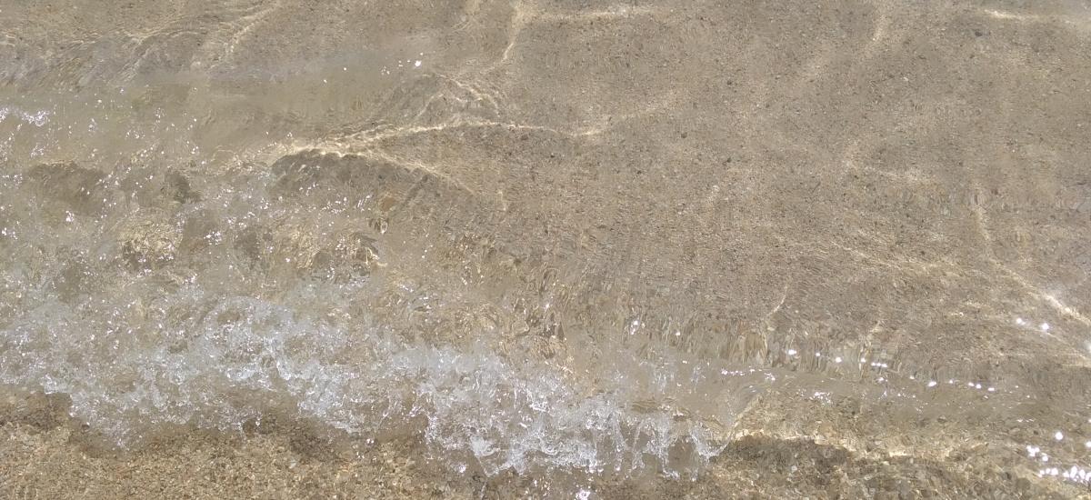 Tancat per vacances del 20 de juliol al 04 de setembre