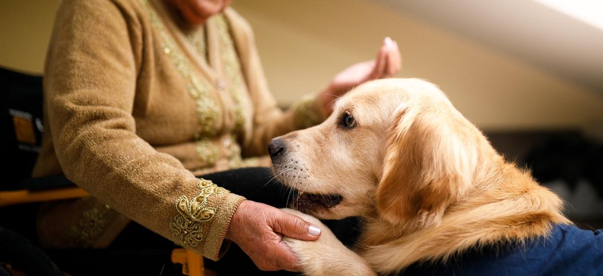 Conferència Teràpies Assistides amb Animals