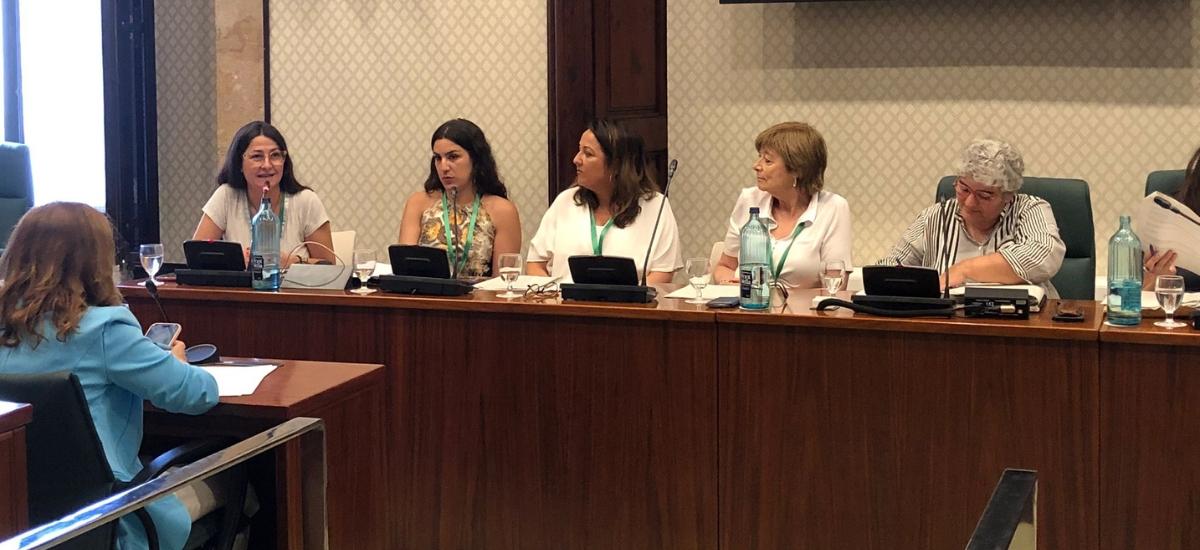 Compareixença Parlament RGC