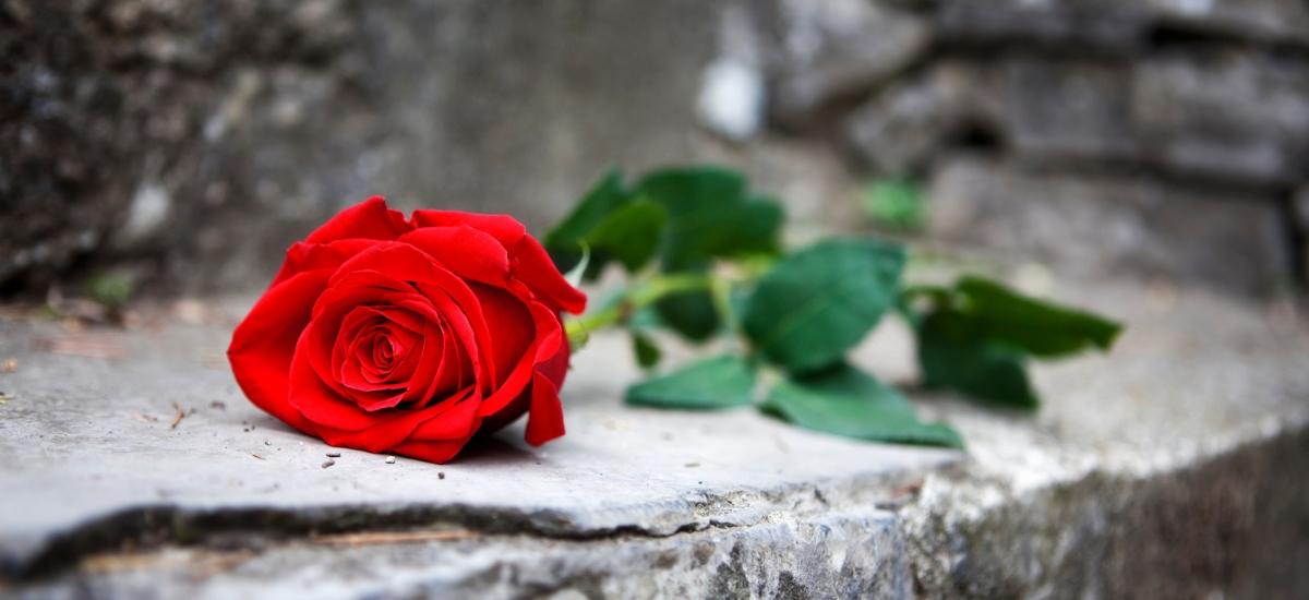 Recordatori Dolors Olmos