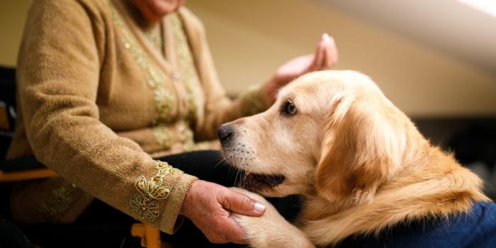 Conferència Teràpies Assistides amb Animals