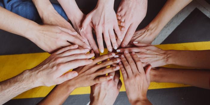 Article al Social.cat