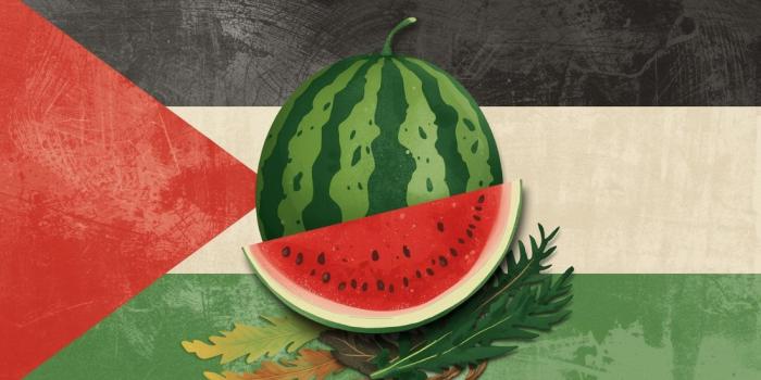 Suport Global Sumud Flotilla a Gaza