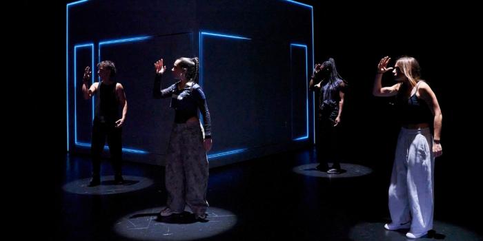 Imatge de l'espectacle Tarsius al TNC